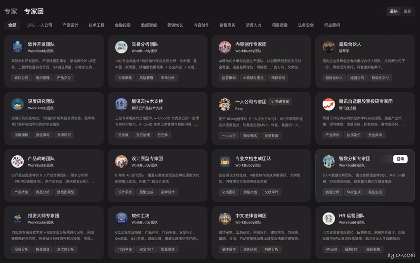专家/专家团