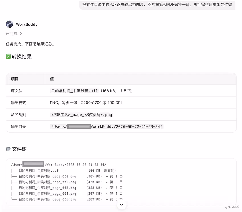 PDF 转图截图并总结内容